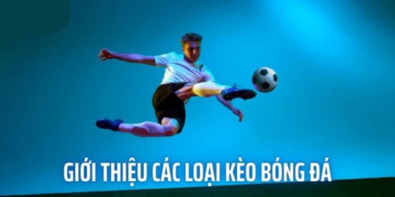 Các loại kèo bóng đá trực tuyến phong phú tại Hi88