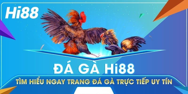 Đá gà Hi88 - Cảm nhận sức mạnh, khẳng định phong độ