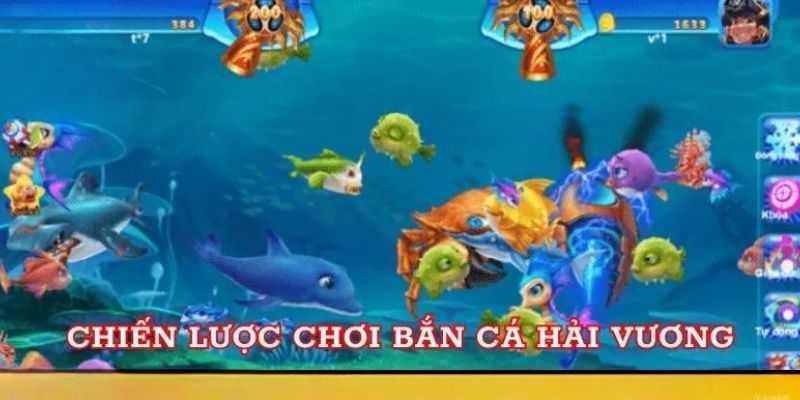 Chiến thuật săn ngư hiệu quả từ các tay chơi lâu năm